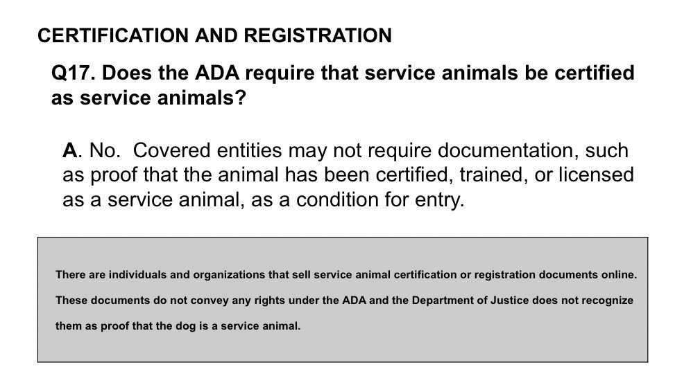 do-service-dogs-need-papers
