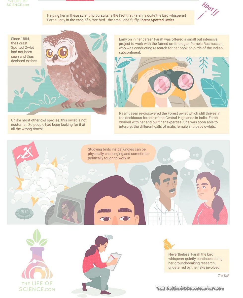 labhopping's tweet photo. @fishtiaq #WorldMigratoryBirdDay is a good time to catch up on the importance of this mindboggling cross-planet phenomenon. Here's a treat from us - a throwback to the cartoonified adventures of disease ecologist & bird whisperer @fishtiaq
cc. @sandygrains
@thetoonguy https://t.co/GTF3PZ1H1a