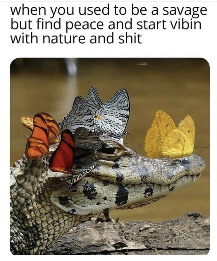 MedPotDelivery's tweet image. #GoingLegit #FederalLegalization #HempRevolution @MedPotDelivery