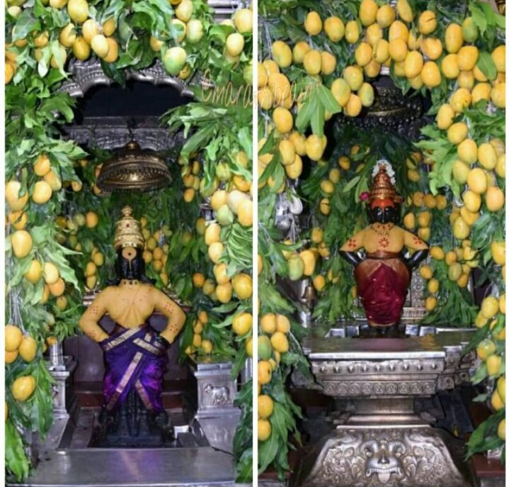 MarathiBrain's tweet photo. उंबरठ्याशी कैसे शिवू आम्ही जाती हीन
रूप तुझे कैसे पाहू त्यात आम्हीलीन ||

पंढरीच्या विठ्ठल-रुक्मिणीला ११ हजार आंब्याची आरास... https://t.co/LK9ITolxUP