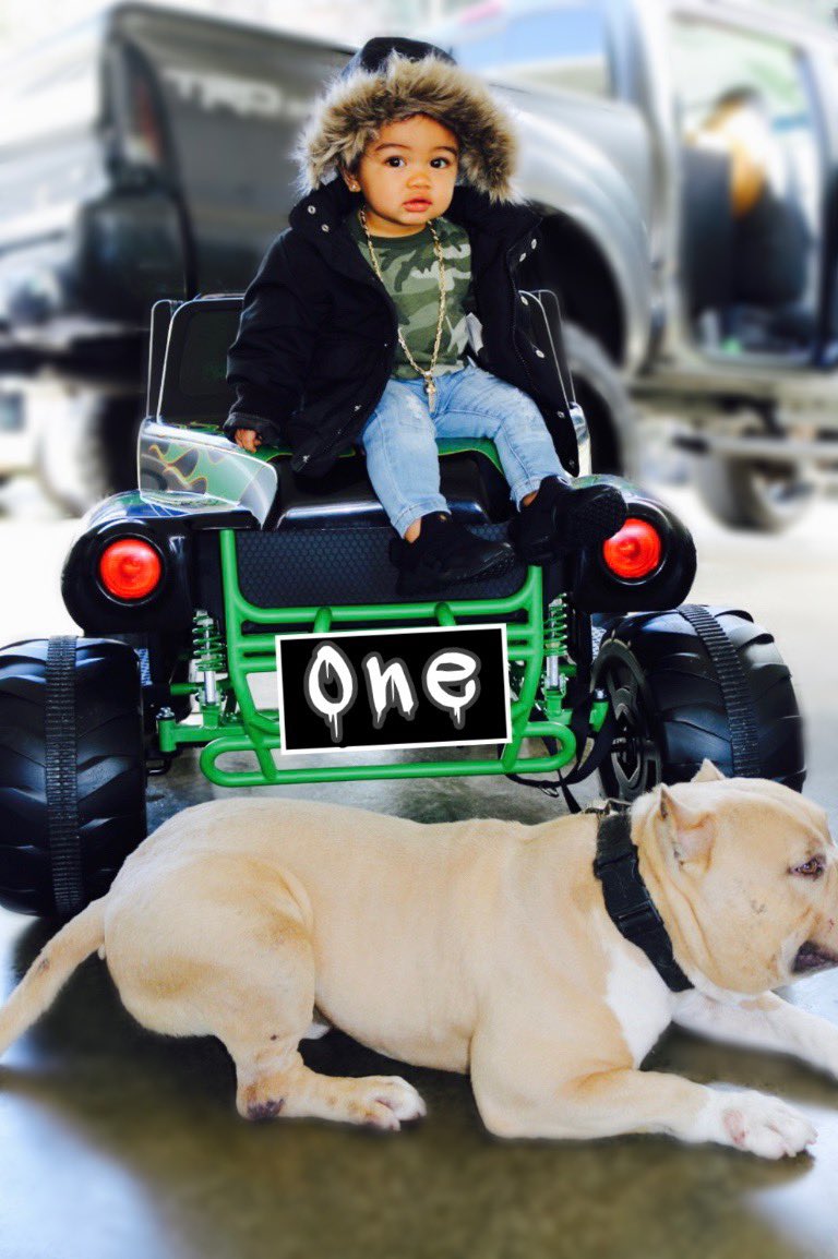 lohichun's tweet photo. One year ago I was in the worst pain but I got blessed with the best gift! Happy 1st Birthday Son! Love you forever and can’t wait for your big day tomorrow! 🎈🎉 #kierstonhazeturnsone https://t.co/4Z6Ss4dDlf