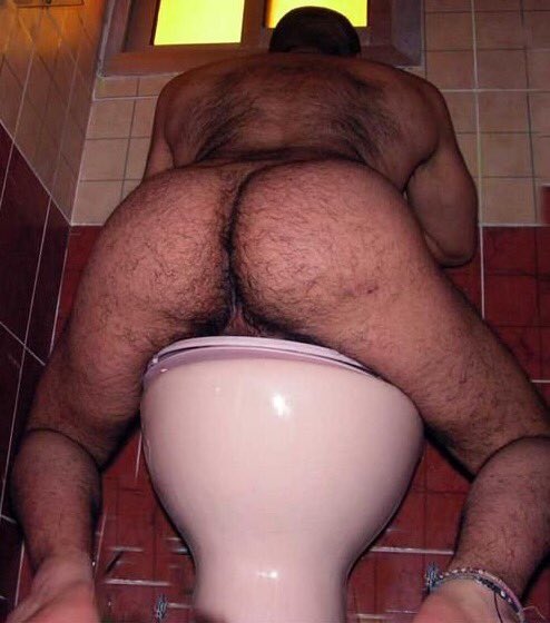 RugbyFilth's tweet photo. Prop on the bog https://t.co/iRMiQUhoEK
