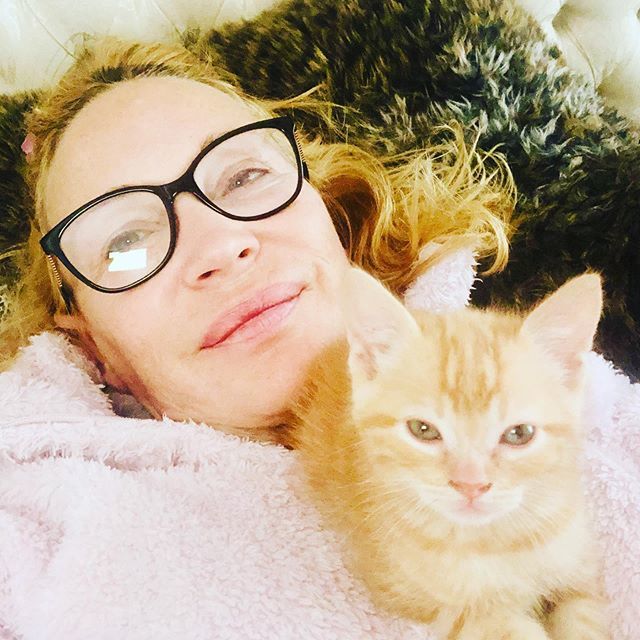 MMourreau's tweet photo. #buenosdias os presento mi #nuevobebe #rubio como su mamá se llama #wilson pero le llamo #willy primer día en casa y y’a esta #enmicama #ronroneando #mycat #monbebe #ronron https://t.co/2MNubd1UIi