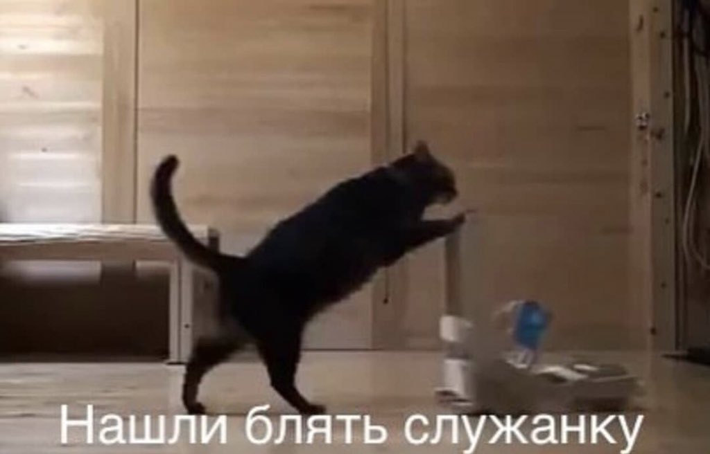 pirozhenshchina's tweet photo. нормальные люди в выходные: высыпаются, смотрят кино, гуляют, видятся с друзьями 

я в выходные: https://t.co/4PphSr9UPb