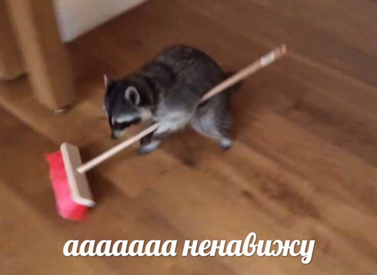 pirozhenshchina's tweet photo. нормальные люди в выходные: высыпаются, смотрят кино, гуляют, видятся с друзьями 

я в выходные: https://t.co/4PphSr9UPb