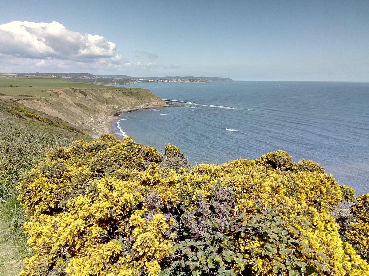 FileyFlat1's tweet image. Coastal colour on the way from Filey to Scarborough