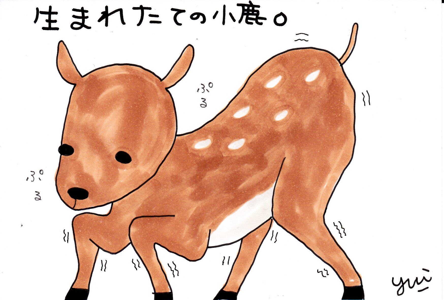 טוויטר 由伊 Bawファンなロック女子 בטוויטר 生まれたての小鹿𐂂 ぷるぷる イラスト好きな人と繋がりたい イラスト 絵描きさんと繋がりたい お絵描きさんと繋がりたい お絵描き好きさんと繋がりたい お絵描き 小鹿 生まれたて T Co 2jysq2smcb