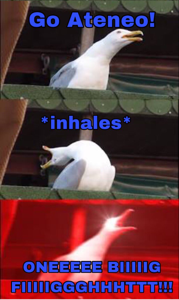 angasnibeadel's tweet image. this will probably me on Wednesday kaya ONE BIG BAWI!! 💙
#BeAsOne