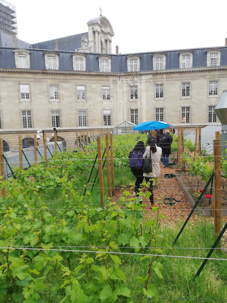 UrbAgri's tweet photo. Visite du réseau YESS, Young Earth-Scientists for Society durant la 7ème session de l’IPBES, Plateforme Intergouvernementale scientifique et politique sur la Biodiversité et les Services  Ecosystémiques à l’UNESCO à Paris (29 avril au 4 mai 2019). Merci pour votre venue https://t.co/EttphWbmFR