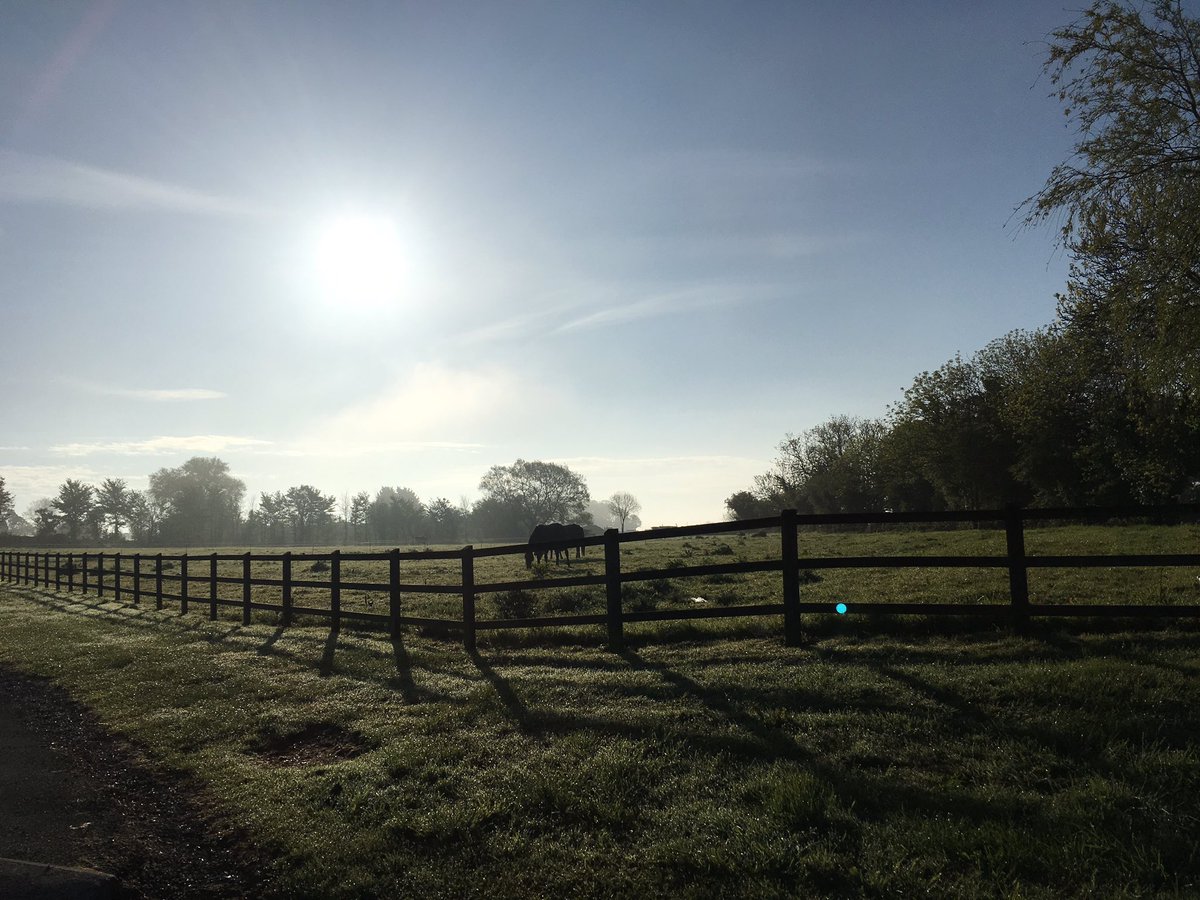 BerewallHouse's tweet photo. Good morning everyone a special welcome to our @BEventing organisers and riders #beautifulsomerset #amazinggrounds #boyshaveafrontrowseat 🏇🏻 🐎 🐴 https://t.co/7KITHvlIeZ