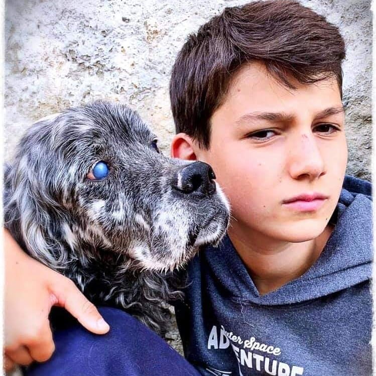 Fempeters's tweet photo. ❤️Allen ter adoptie, voor nu alleen de foto's, meer informatie over eenieder, volgt zo snel mogelijk❤️

@monica vivian 
@chiara zamberlan https://t.co/7n70l4VffO