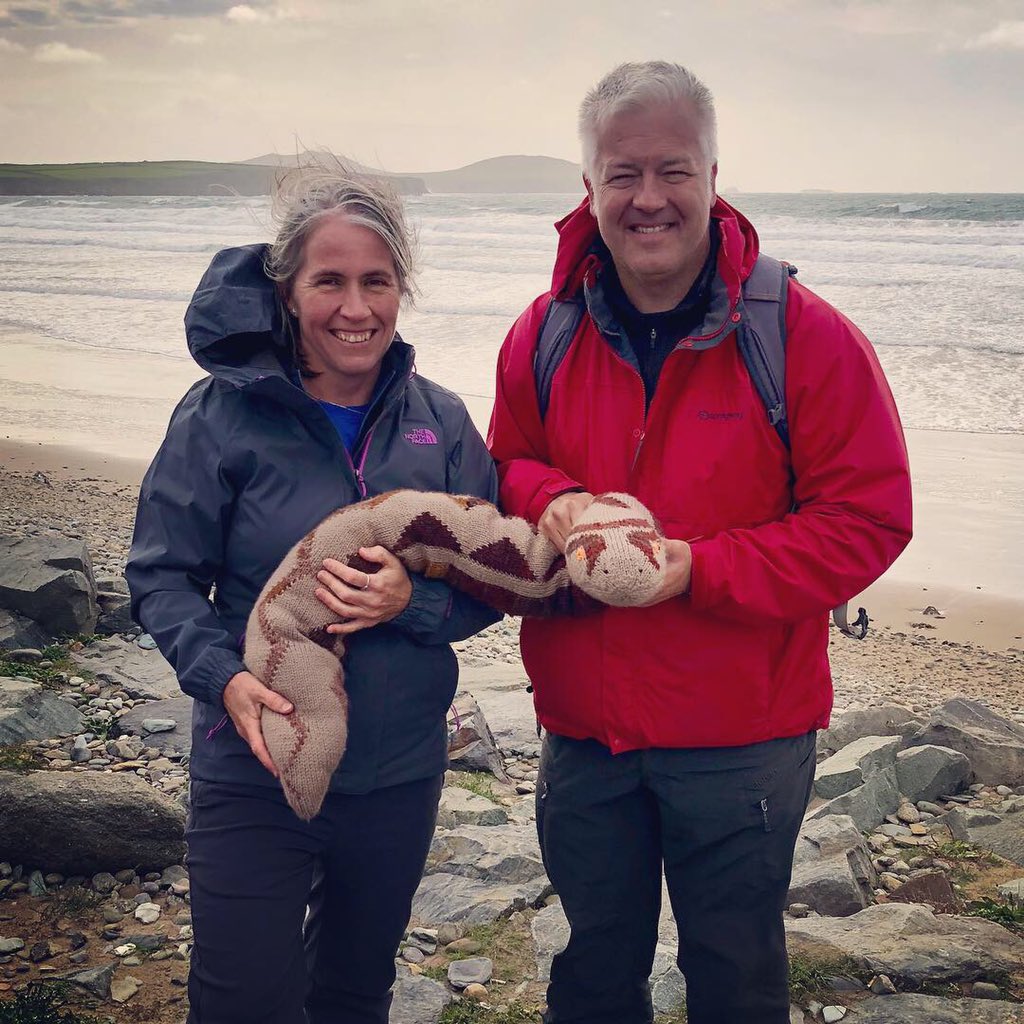 Adders are Amazing! tweet media