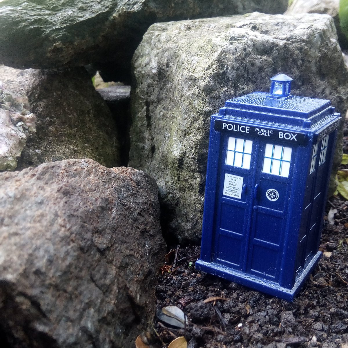 Iltu123's tweet photo. Good morning π
#doctorwho #TARDIS #toyphotography #saturdaymood #drwho #inourgarden #intimeandspace #HomeForWhovians #saturday #itsweekend #whovians #doctorwhofans #biggerontheinside #travelingtardis #tripsaufgrundrelativerdimensionenimsternenzelt https://t.co/DLPN7vr3Yg