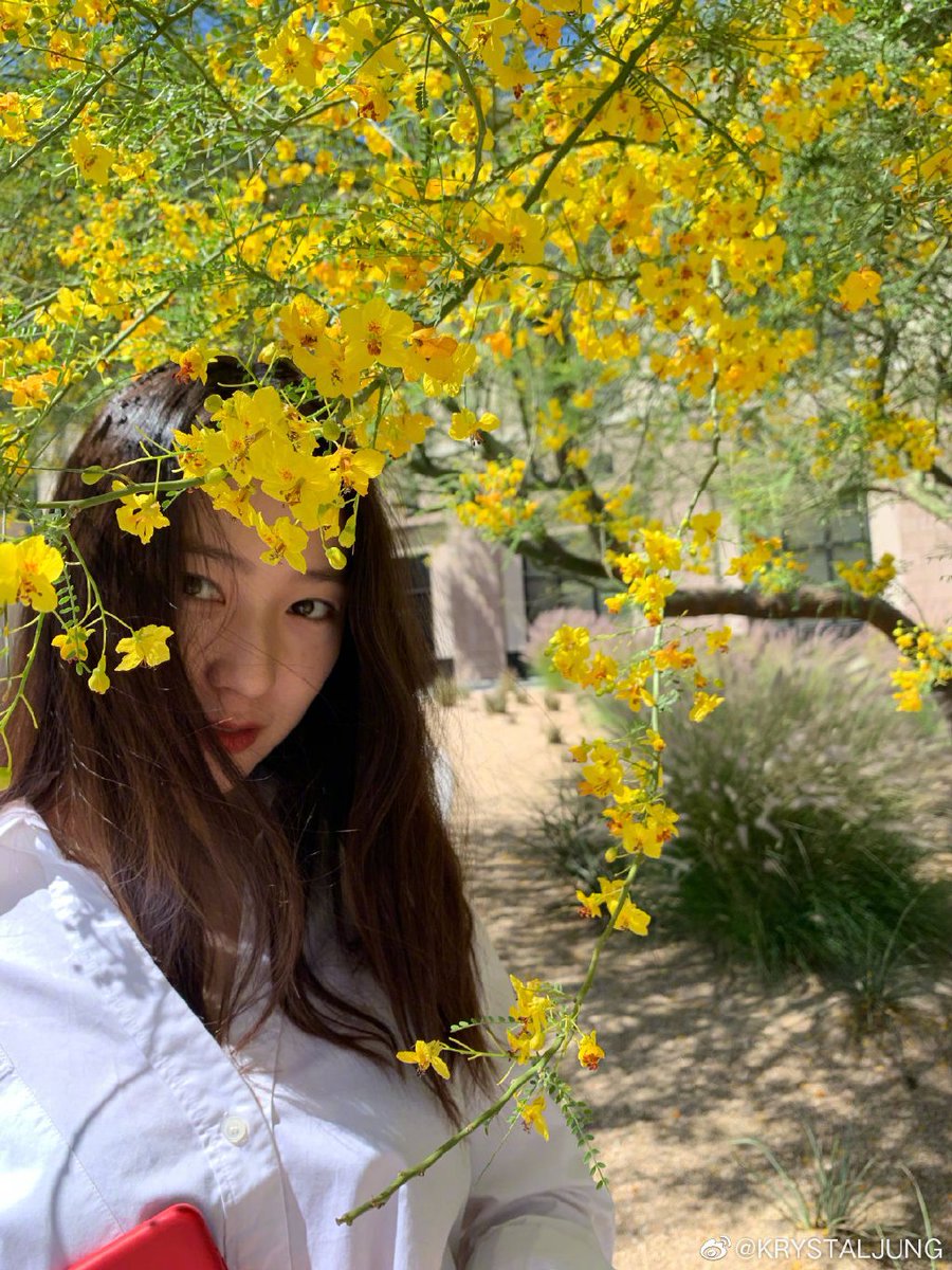 functionlove's tweet photo. 190511 f(Krystal) = Weibo Update: "photo by jess" https://t.co/booY1zcLOZ https://t.co/uYtZrqGeVO