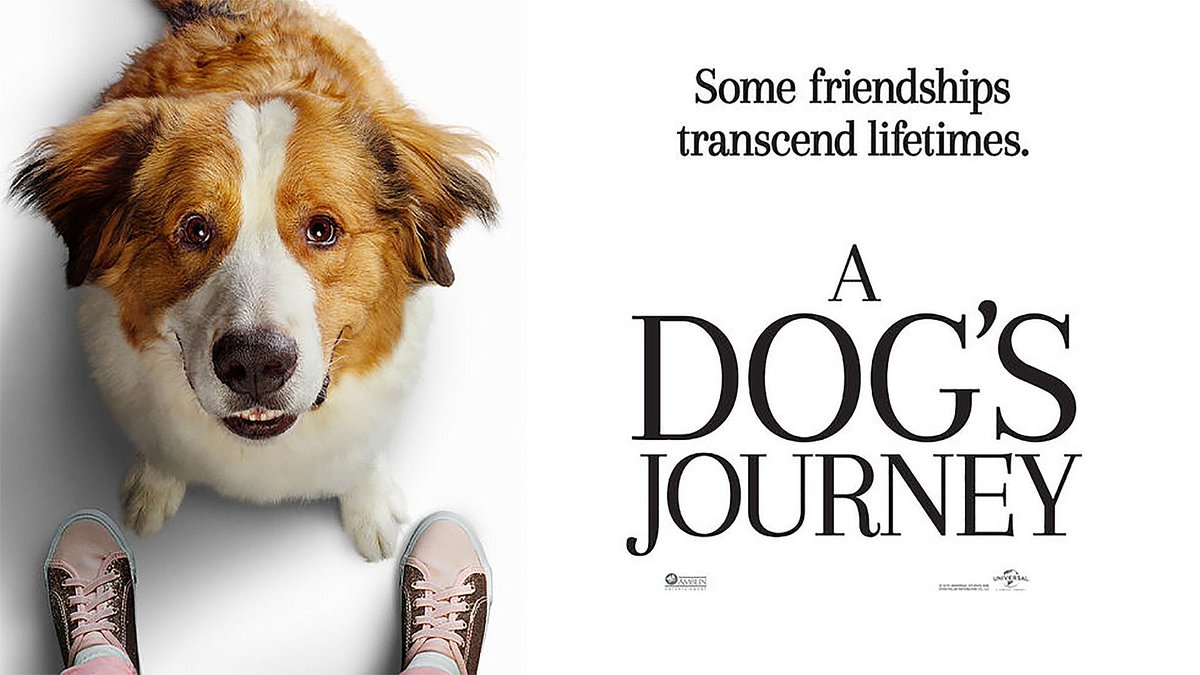 okebioskop's tweet photo. Judul Film : A Dog's Journey
Tanggal RIlis : 17 Mei 2019 https://t.co/m9FuKkx78d