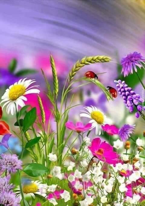 OderoJob's tweet photo. @Gloria91191464 @BrownieJohnston @eamoiseeva @MamCivi @Maria32238606 @hseen53974223 @zerok_z @SIzabel24 @ElakilN @senan_yahia @saulastam @AlbertoJor18 @doktordemirhan @Hsnklil @NilcinhaLee @MrJokerForEver @mamanina736 @soadakramhattif @mkolean3 @Westsymra35 @MenAlyemen_ye @nabilhasan48 @khanhakim_k @lucky_bv @johanneswelwich @giancarlogian83 @elisabeth_petit @shinunao2 @GowellPaul @pelisoro @1alert1 @Eliany47 @WALLI27 @VictoriaD6363 @SANJAYPANDA3 @LTigerR2 @AngelaVillani9 @WaqarAzim1 @JutSudi @ClaudiaRoMa7 @KhalilGaz @DOMERINAD @robert_suchy @IanWardyfella @marycastro54 @om_mohmed_ye @WalterHomeroPe4 Same to you my friend.. https://t.co/eRC1UgcMGy