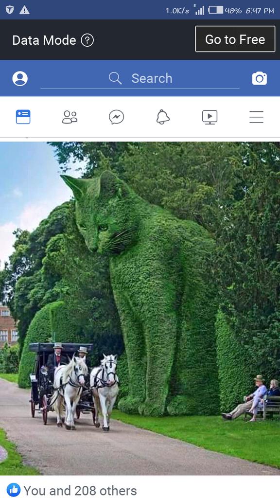 What  can you see if you are very keen