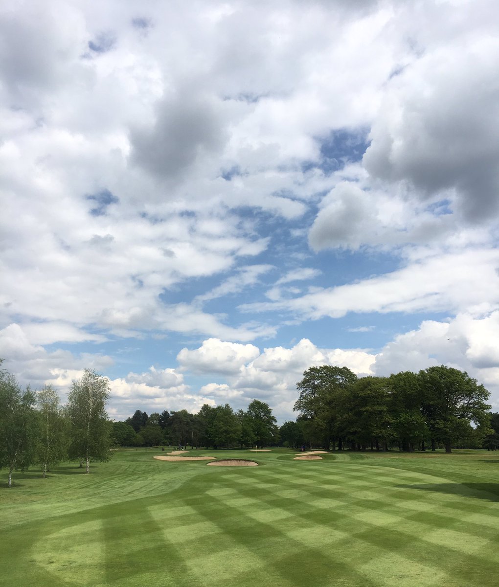 JordanBird3's tweet image. The Course is looking absolutely stunning for the next big event on the @rmsgc_course calendar today. Golfers off at 08:30 and with a double cut and a roll we have green speeds of 10.8ft 💥🔥 all of the hard work and hours paying off !! #teamworkmakesthedreamwork #proudmanager