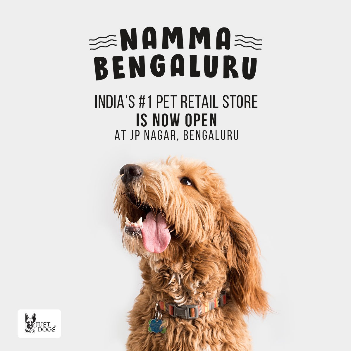 justdogsindia's tweet image. Just Dogs, JP Nagar, Bengaluru is NOW OPEN. Visit today and shop for your fur buddies.

#justdogs #1petretailstore #happiestplaceforpets #wecare #storeopening #visittoday #nammajustdogs #bengaluru #doglovers #dogloversclub #doglover #lovedogs #lovedog #petgroomers #petretailstore