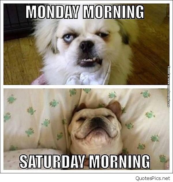 Good morning, it’s Saturday!! Have a great day! 😊 #SaturdayMotivation #saturday #weekend #weekendsunshine #happy #Motivation #BeHappy @TheOnlyTan <a href="/Mr_Simms_Hx/">MrSimmsHornchurch</a> @HomeSweetHomeHx <a href="/HornchurchLife/">Hornchurch Life</a> <a href="/Time1075_fm/">Time 107.5</a> <a href="/VivaDentist/">Viva Dental Studio</a> <a href="/RomfordRecorder/">Romford Recorder</a> <a href="/TandooriLounge/">Tandoori Lounge</a>