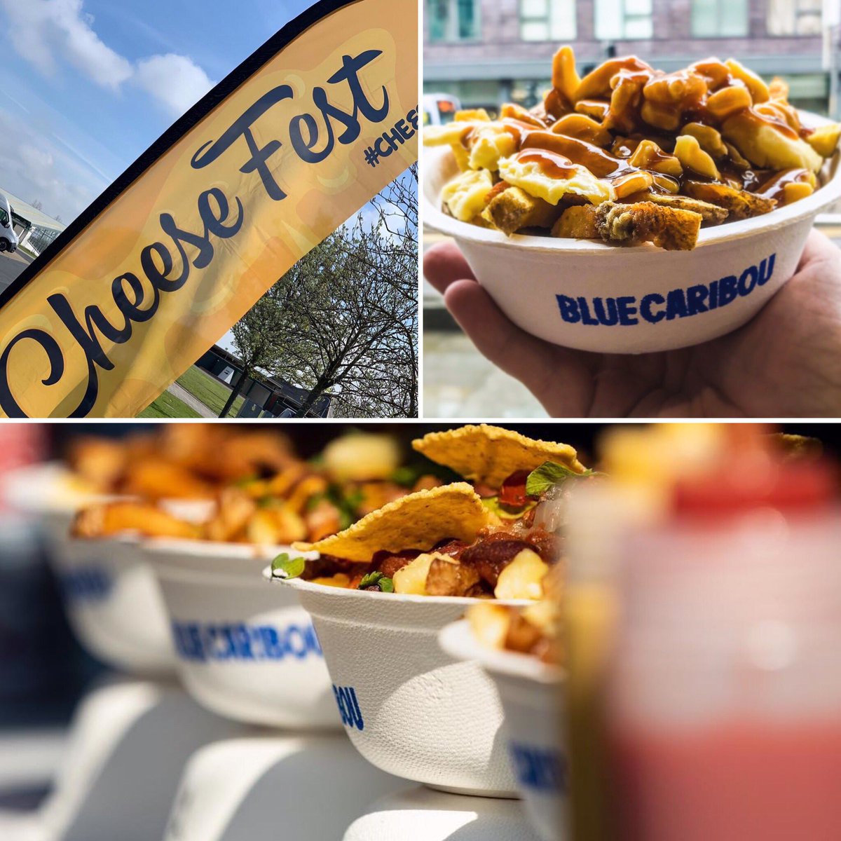 Blue Caribou tweet media