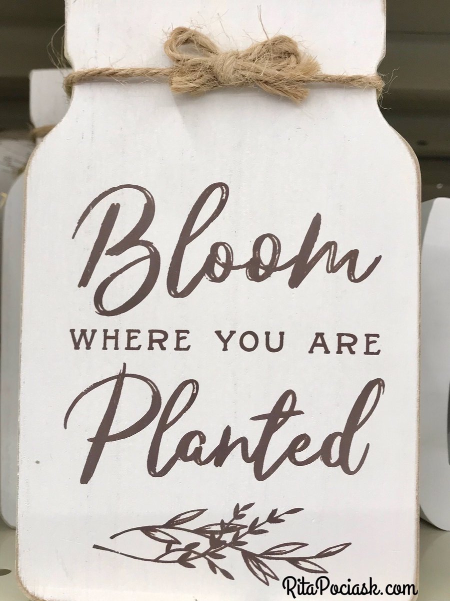 RPGolfFitness's tweet photo. Bloom where you are planted.
#ritapociask #rpcoaching #areyoureadyfitness #positivevibes #positivequotes #positivity #qotd https://t.co/Tw2siRncVv