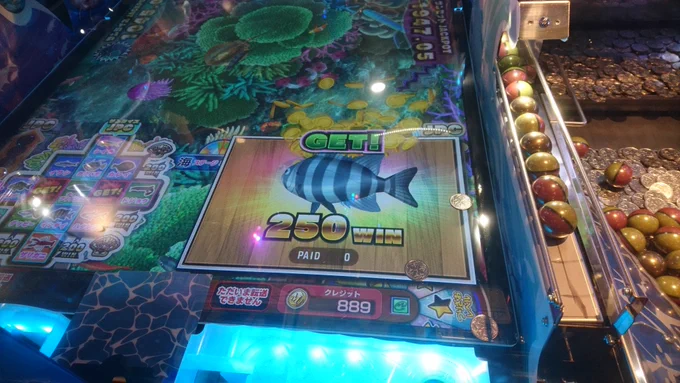 最近ゲームのおかげで魚に詳しくなったので、水疱瘡で入院した妹のお見舞いの時も会話に困らなかった。(妹は困ってた) 
