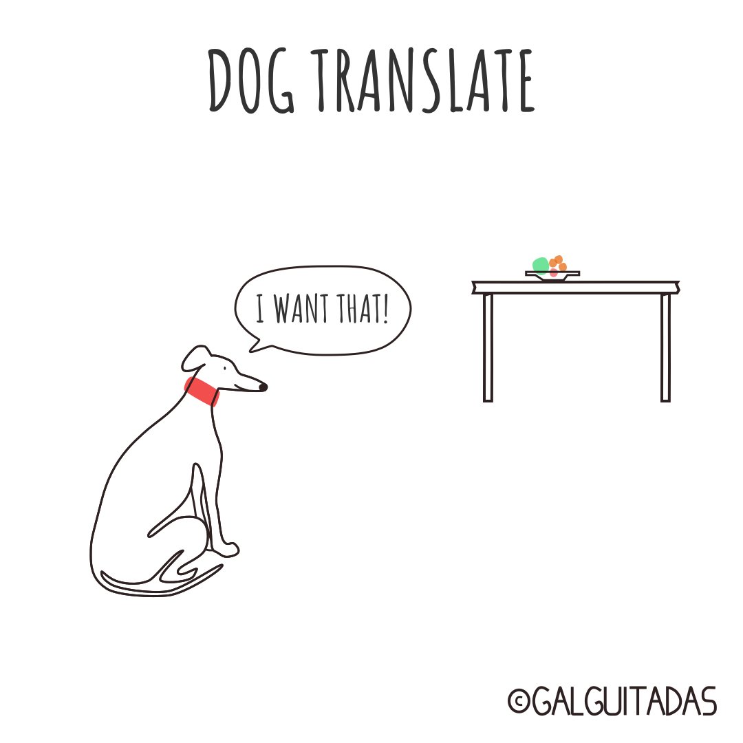 galguitadas's tweet photo. #galguitadas #galgo #galgolover #greyhound #grehoundrescue #freethegalgo #adoptanocompres #adoptdontshop #doglover #humor #comic #galgosdesofa https://t.co/ndmUOaWZ4n