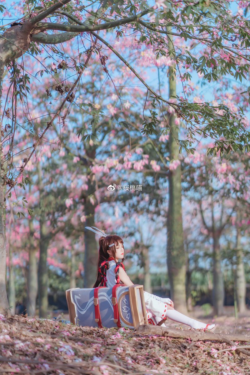 #cosplay 
#王者荣耀 

       —— 🌸  “ 你我的姓名将泯灭于野火，家乡的灵魂随原上草木而复苏 ” 

丨伽罗花间巫女：@桜桃喵 
丨摄影后期：@西瓜呆毛汪 

(腰甲坏了，还有一些小bug，不还原之处多多包涵。) https://t.co/hT0tYltA2C