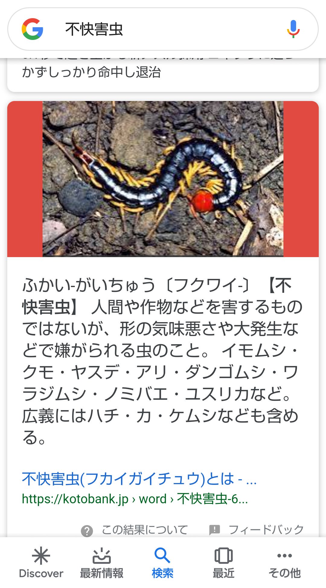 みいちゃん 浮上休止固ツイ確認お願いします 拡散希望 タカラダニ 昆虫 虫 不快害虫 見た目だけで判断するなよ 生体とかも調べて害あるなら駆除してよタカラダニなんて潰すからアレルギー出るだけで潰さなきゃなんもしないよ飼っているペットに