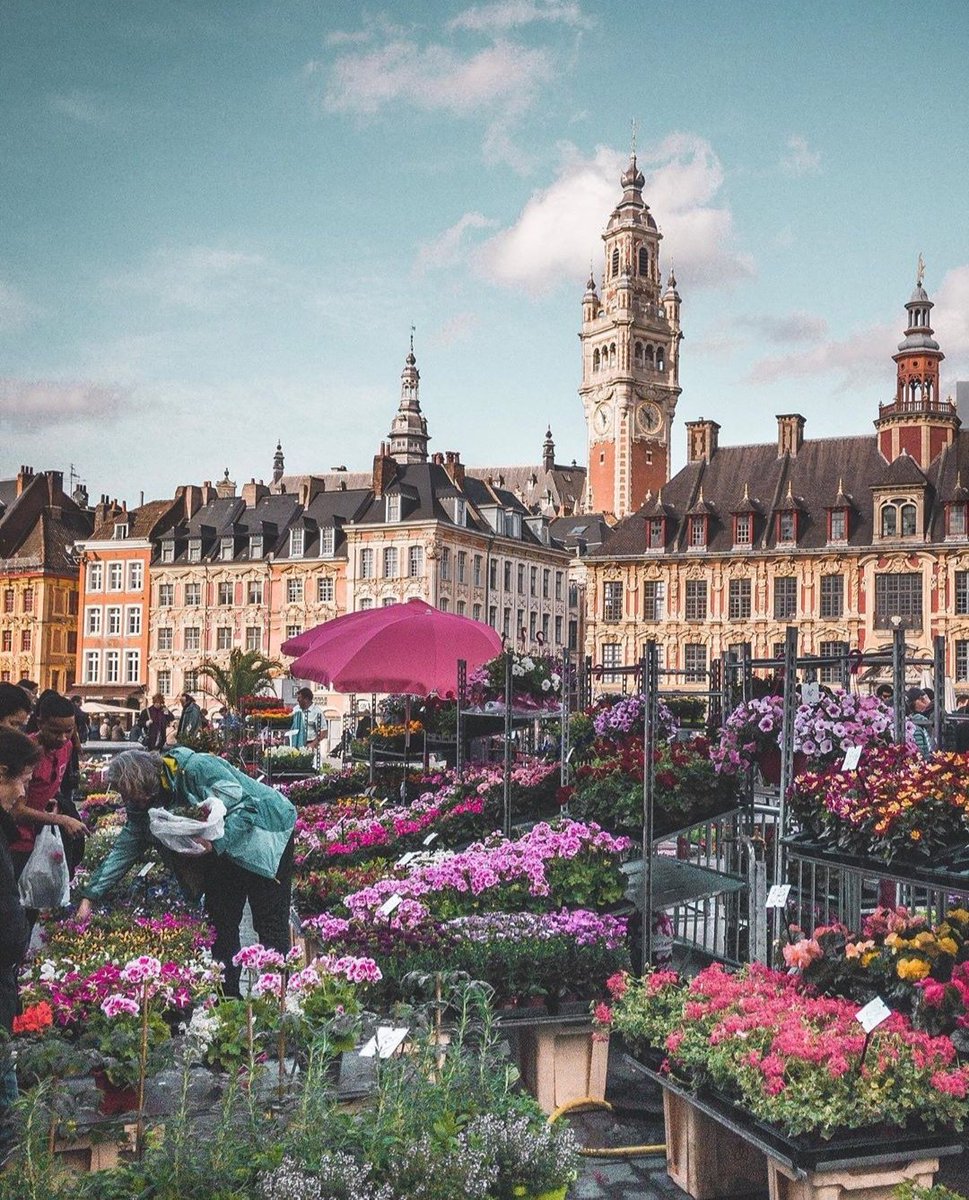 🌷🌻 Le célèbre Marché aux Fleurs, organisé depuis 190 ans (1829), sur la Grand'Place de #Lille ! C'est jusque 18 h ce Samedi !
📸 IG/julii.en