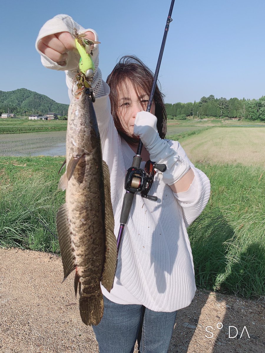 雷魚ロッド 雷魚ロッド
