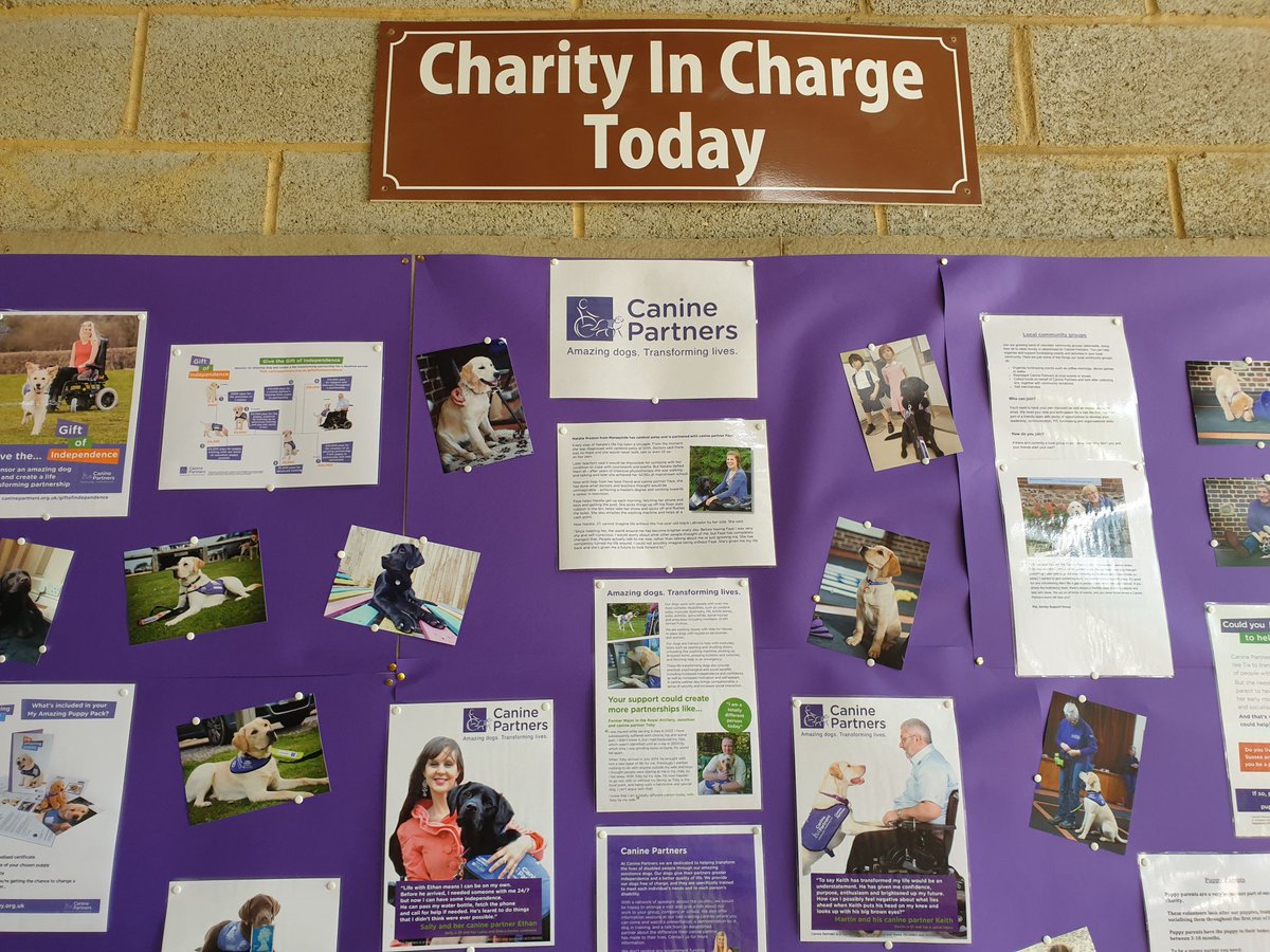 This weekend you can find out all about the work of Canine Partners , the charity in charge at the Bluebell Walk and providing you delicious refreshments in the cafe @canine_partners @caninepartnersuk #caninepartners #amazingdogs #transforminglives