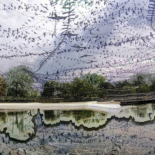 alexmayarts's tweet photo. Swallows, geese, crows, a swan! All the birds at once in a cacophonous riot of movement. Had a couple of hours between installing #ArchaeaBot at HeK and doing our Swiss TV interview so took a relaxed stroll through this lovely park. #timelapse #algorithmicphotography #basel … https://t.co/x8i3XNxeUc
