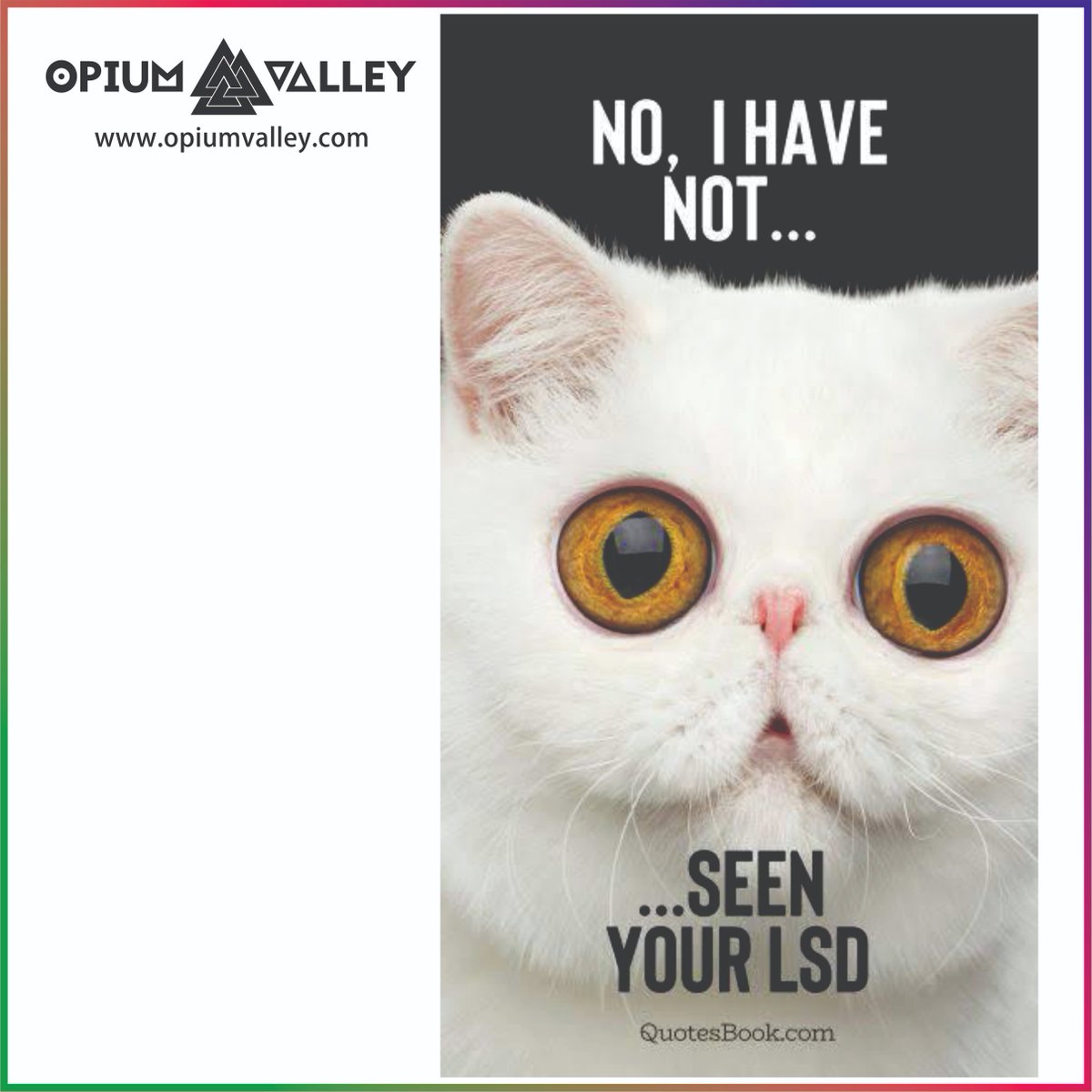 opiumvalley's tweet photo. https://t.co/dj8lhz4vRn