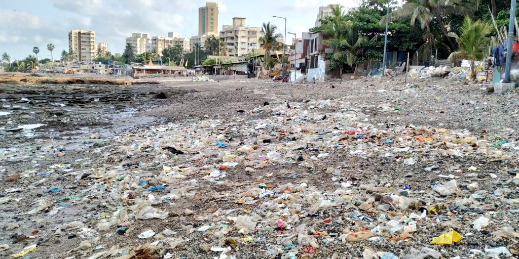 chinukofficial's tweet photo. #BeachCleanup #Week90 #Cleanup342
And here we resume our cleanup with same power & energy !
First two pictures shows the passion of the team (Before & After)
Big thank you to MCGM & @Iamrahulkanal bhai for providing the giant excavator early morning.
@AUThackeray @deespeak https://t.co/ZLgfjEvZmH