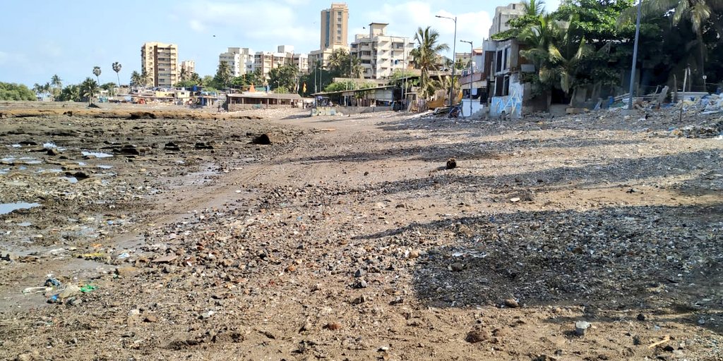 chinukofficial's tweet photo. #BeachCleanup #Week90 #Cleanup342
And here we resume our cleanup with same power & energy !
First two pictures shows the passion of the team (Before & After)
Big thank you to MCGM & @Iamrahulkanal bhai for providing the giant excavator early morning.
@AUThackeray @deespeak https://t.co/ZLgfjEvZmH