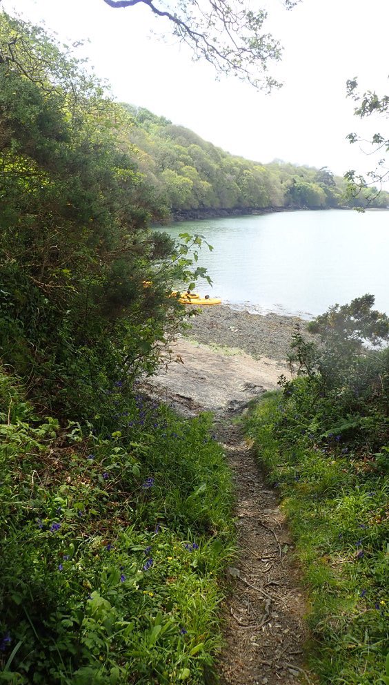 KoruKayaking's tweet photo. Beautiful #hiddencornwall join us to discover it with #korukayak adventures from @BudockVeanHotel @ILoveCornwallUK https://t.co/hWFbMIXBrl