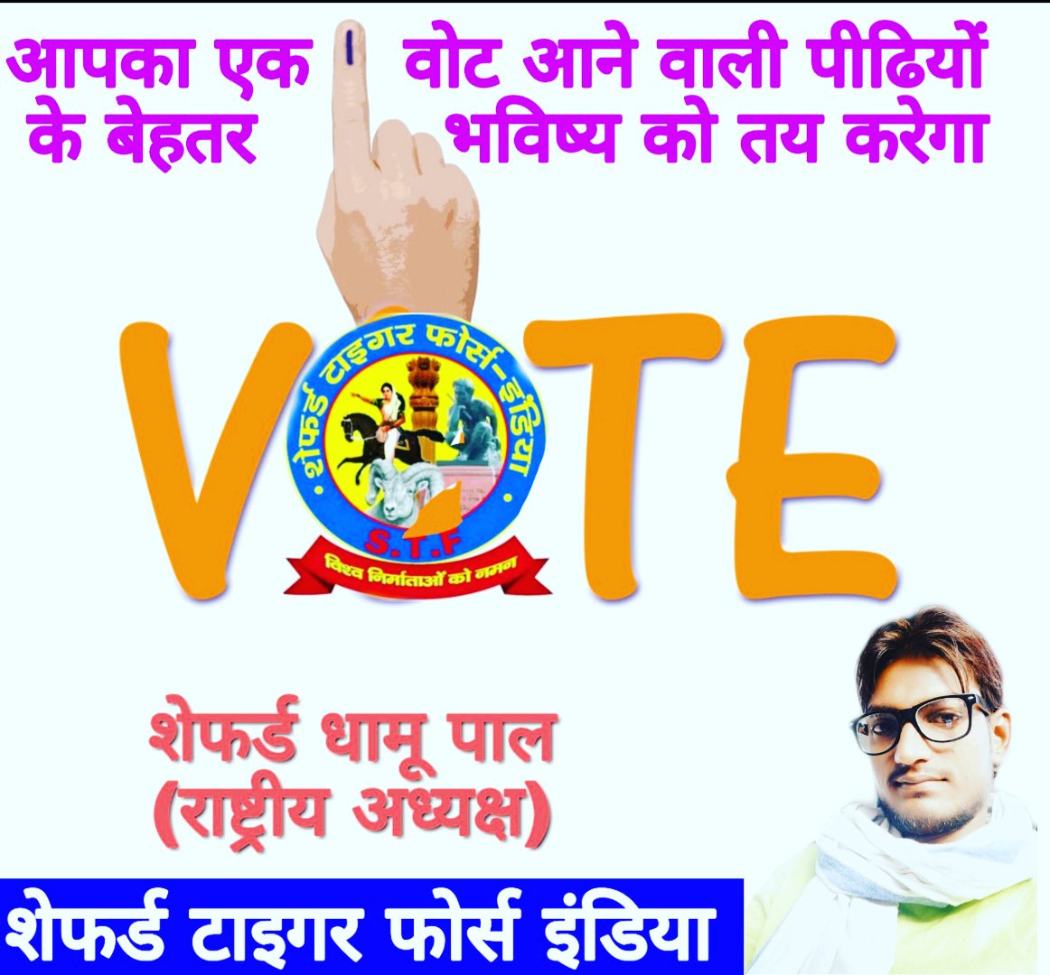 Shepherd Tiger Force India tweet media