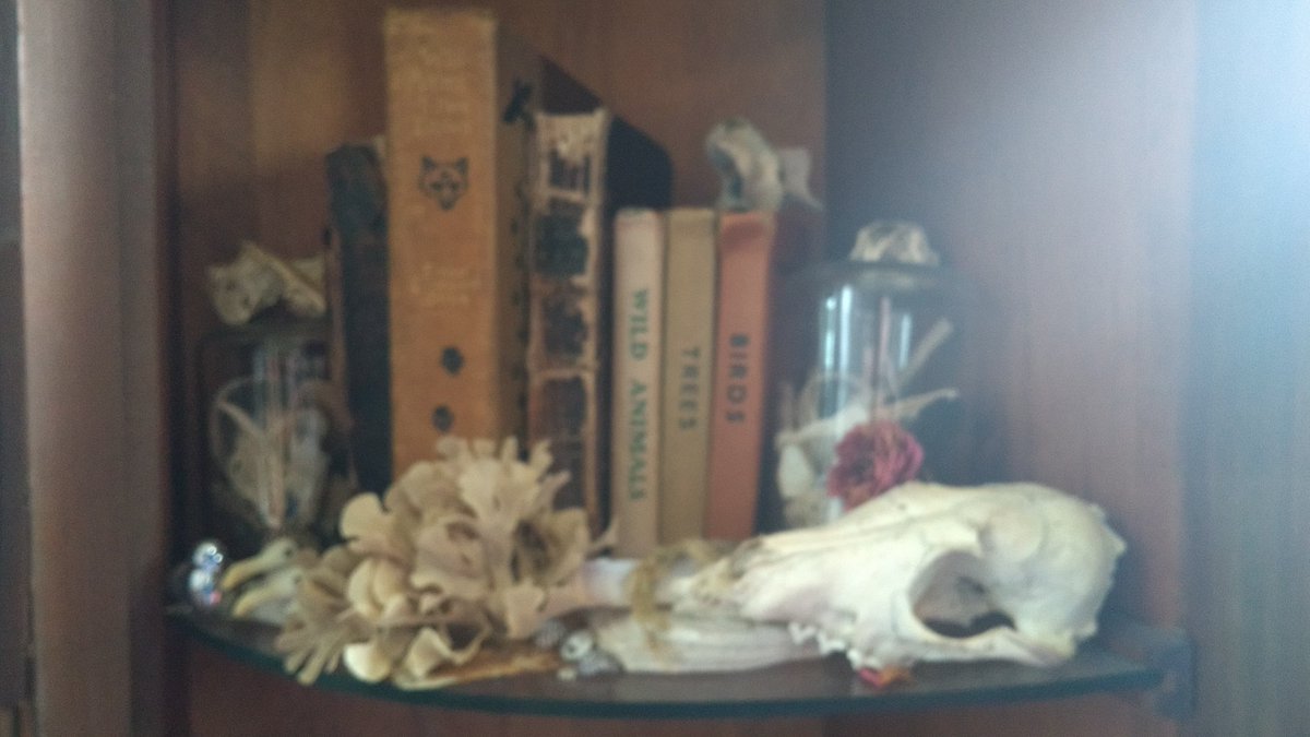 _LaraBand's tweet photo. #VirtualEyeArt Conversation 4, part 2 https://t.co/05ZuSNWYCN