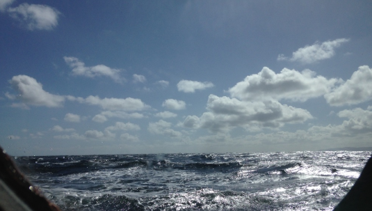 roiiroiiro's tweet photo. last days at amazing #research_vessel #CeltixExplorer #ocean_sounds #fieldrecording #aerialsparks #galway2020 #BaBioSSH #AtlanticOcean #ocean #ecology #sound_art #artist_in_residency #art_science https://t.co/vxveCgogRR