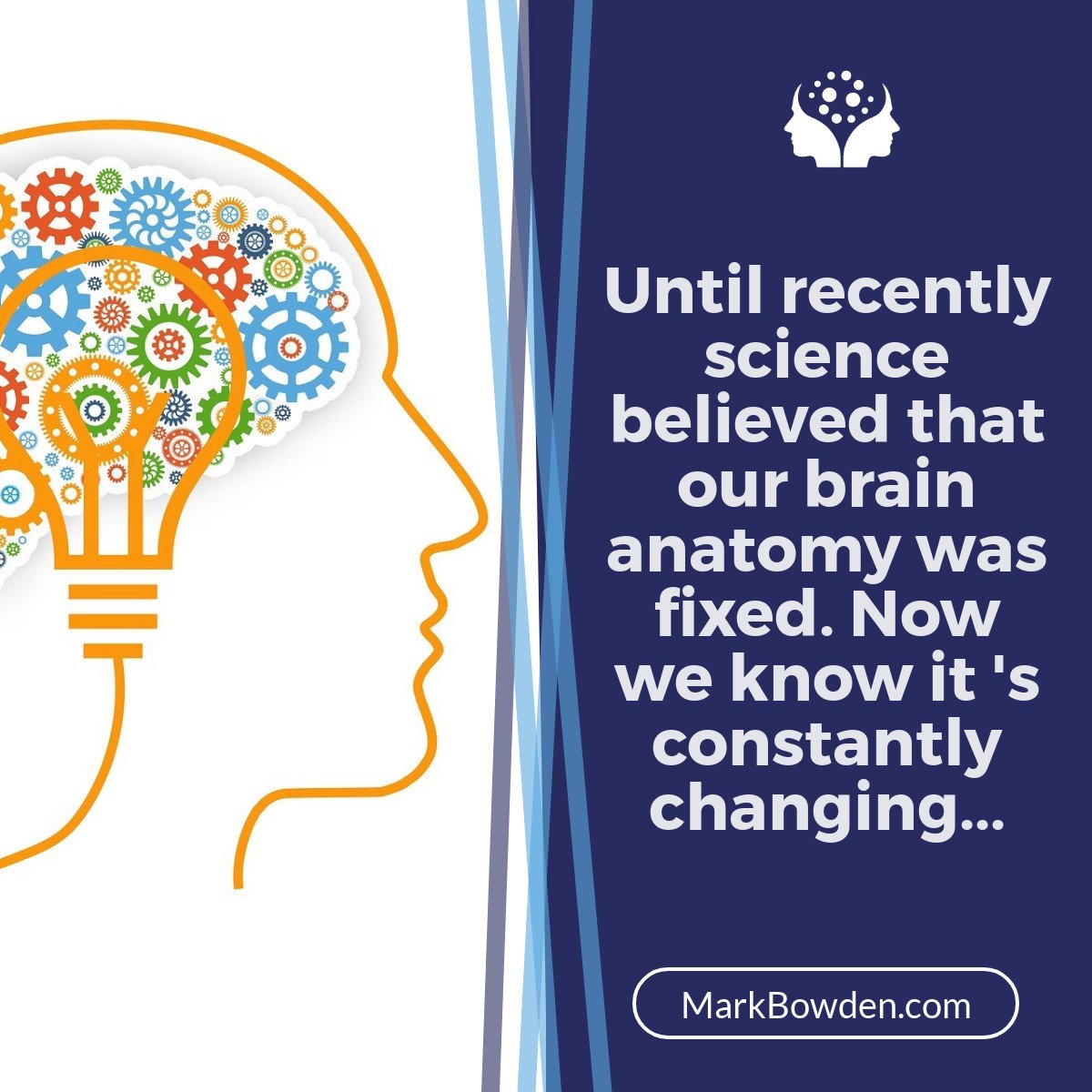 Not only do we now know that our brains are in a constant state of change, growth and atrophy, we also know many of the things that cause it.

So will your life with positivity and you'll be shaping the infrastructure of your brain to deal brilliantly with life.