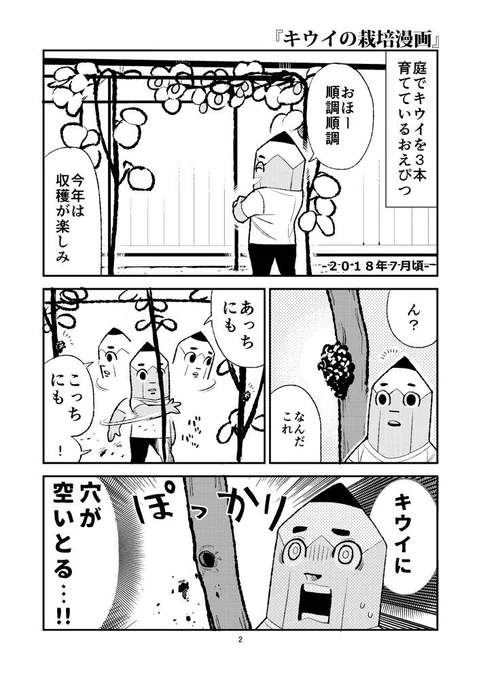 キウイの栽培漫画です。 #園芸 