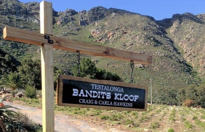 With Wine Tastings in each ELY, a Recipe and Wines to try our Newsletter is worth a read bit.ly/ELYJune Join us for @madefromgrapes in #ELYWINESTORE #Maynooth <a href="/PoggioalTesoro/">Poggio al Tesoro</a> <a href="/TenValdipiatta/">Tenuta Valdipiatta</a> &amp; #poggiosanpolo in #ELYWINEBAR &amp; <a href="/nzwine/">New Zealand Wine</a> &amp; <a href="/AlsaceWines/">AlsaceWines</a> in #ELYBARANDGRILL