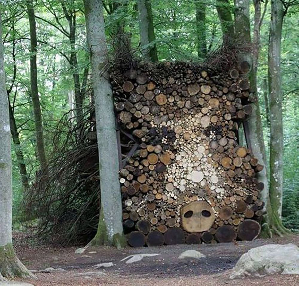 Инсталляция из дров