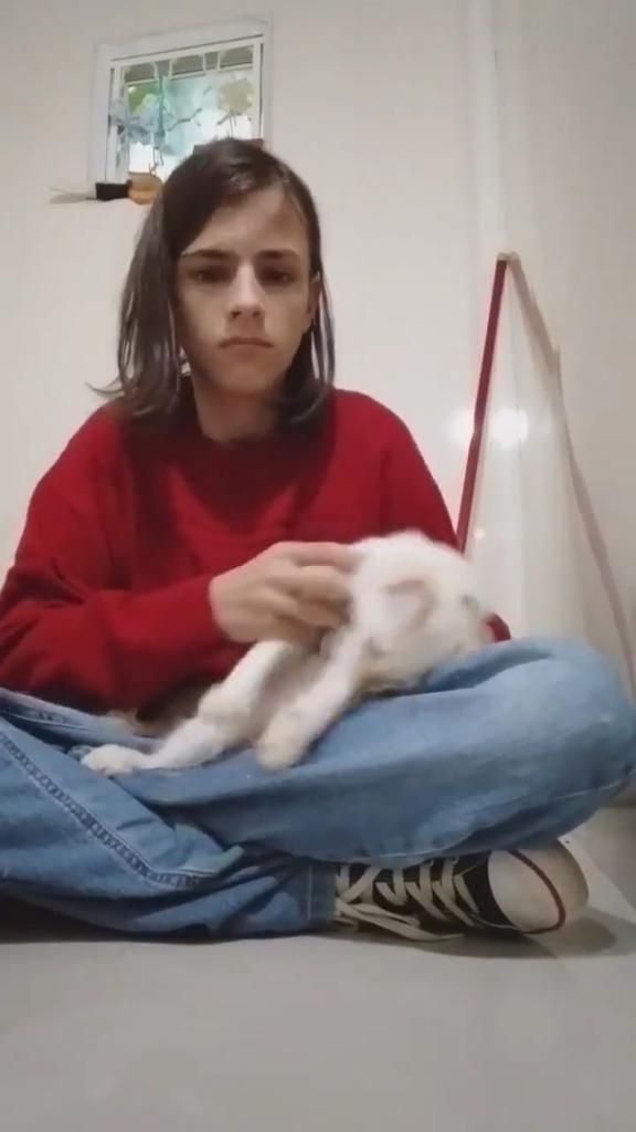 rubyjesha's tweet photo. Esse nojento matou o próprio gato. Já não bastava ainda confessou que comeu o coração do animal. Estou em choque, como alguém pode querer fazer mal a um ser inocente? #imricelly #ThiagoRicelly https://t.co/xIWrPoTkLf
