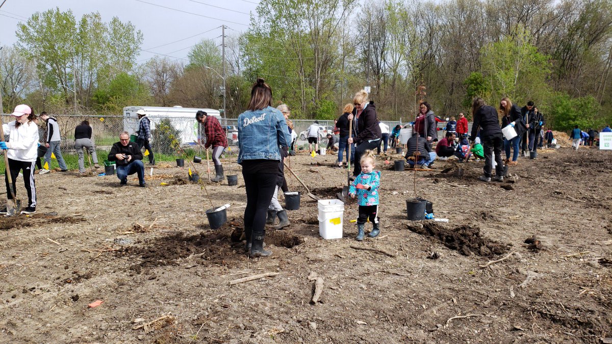 forestscanada's tweet image. A big crowd in @cityofwindsor to help us plant trees in their community! Thank you to our supporters for making today happen #communityplant