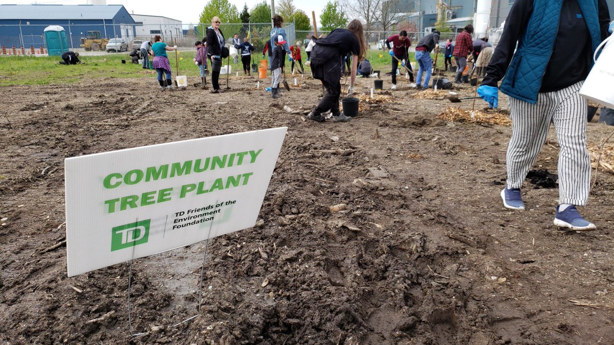 forestscanada's tweet image. A big crowd in @cityofwindsor to help us plant trees in their community! Thank you to our supporters for making today happen #communityplant