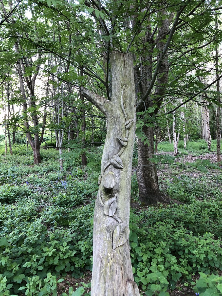 NetherclayW's tweet photo. Happy #SomersetDay - what a great day to launch our twitter page!! Check here for news and information about this special place  #picturesomerset @SomersetDay https://t.co/ZBYVTfCgjJ
