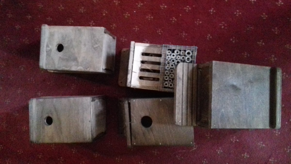 We have been gifted 3 bid boxes as well as a bug and a bat house. Thank you <a href="/FOVPStretford/">Victoria Park M32</a>. Now anyone fancy climbing a ladder to fit them for us?